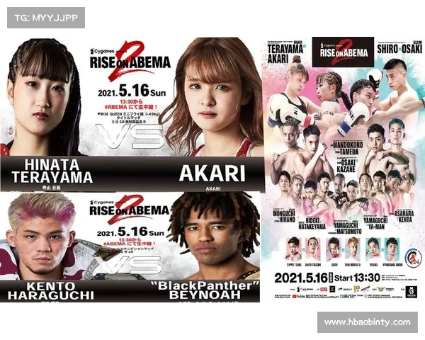 日本综合格斗赛事